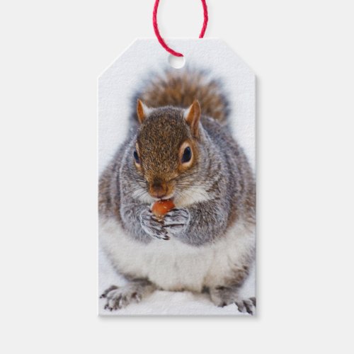 Squirrel with nut gift tags