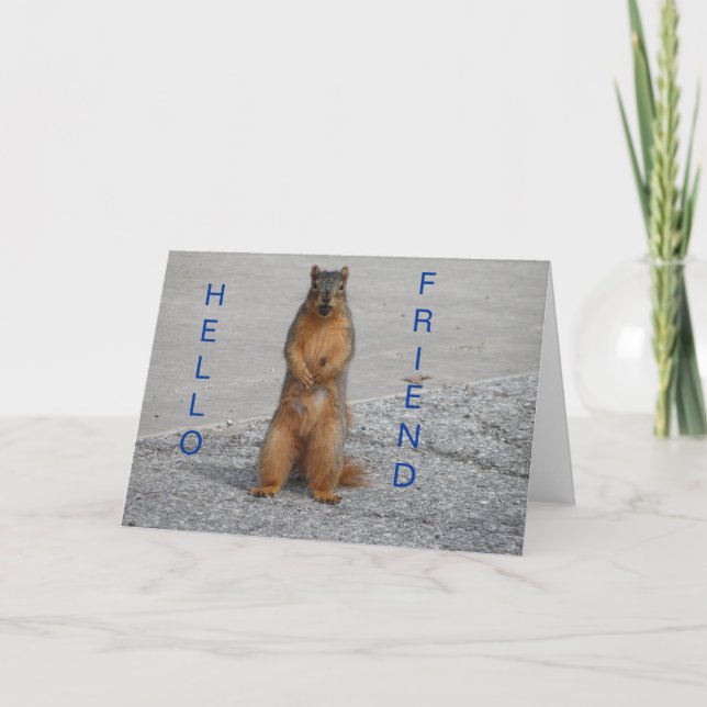 Squirrel With Nut, Hello Friend Card (Front)