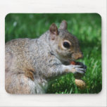 Squirrel with Nut Mouse Pad