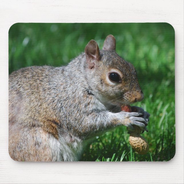 Squirrel with Nut Mouse Pad (Front)