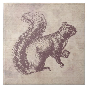Squirrel with Nut Vintage Art Floral Script Style Ceramic Tile