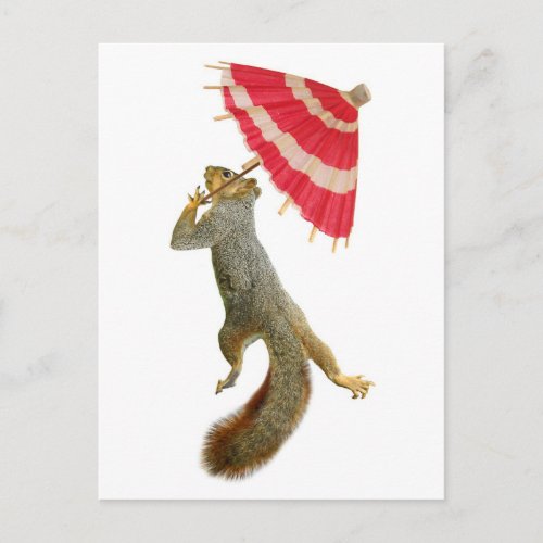 Squirrel with Parasol Postcard