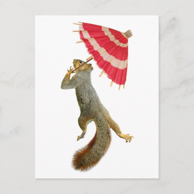 Squirrel with Parasol Postcard (Front)