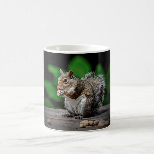 Squirrel with peanuts coffee mug