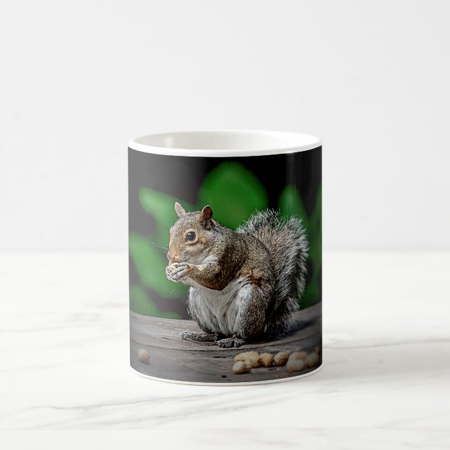 Squirrel with peanuts coffee mug (Center)
