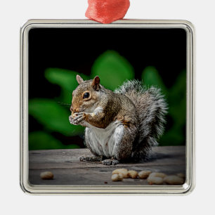 Squirrel with peanuts metal ornament