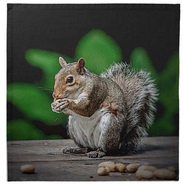 Squirrel with peanuts napkin (Front)