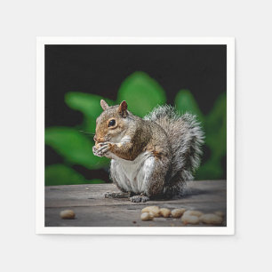 Squirrel with peanuts napkins