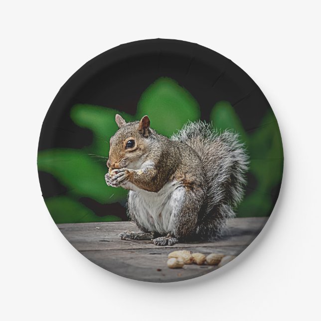 Squirrel with peanuts paper plates (Front)