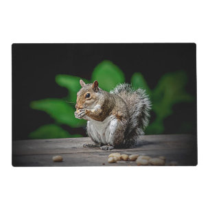 Squirrel with peanuts placemat