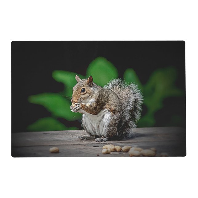Squirrel with peanuts placemat (Back)