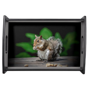 Squirrel with peanuts serving tray