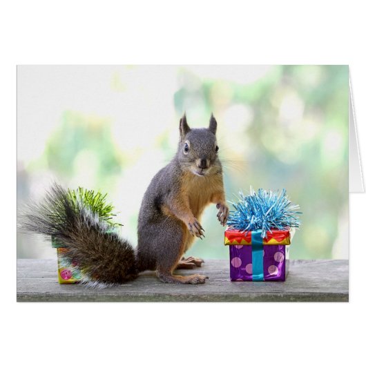 Squirrel with Wrapped Presents Cards (Front Horizontal)