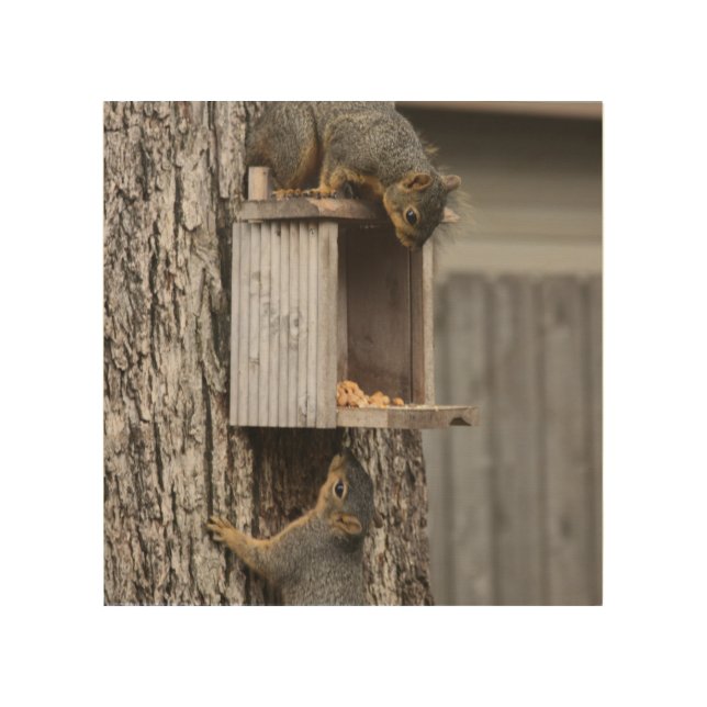 Squirrel Wood Wall Art (Front)