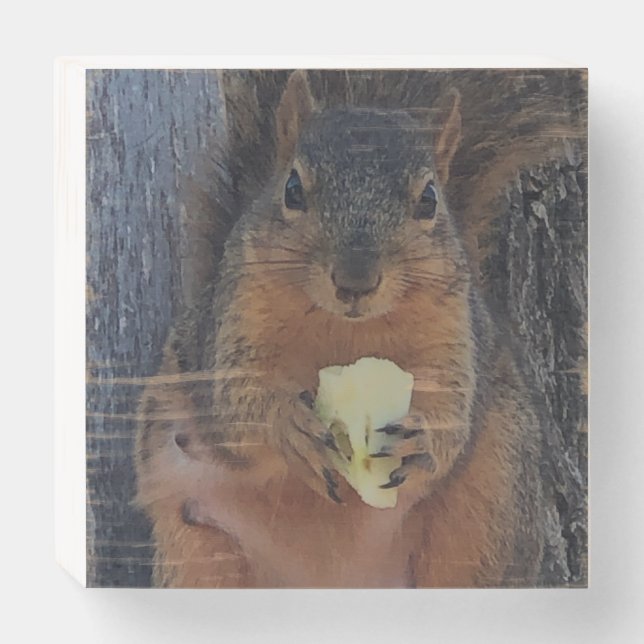 Squirrel  wooden box sign (Front Horizontal)