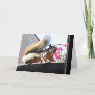 Squirrel World Housewarming Card