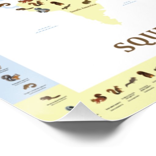 Squirrel World Map Poster Zazzle