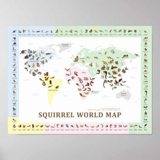 Squirrel World Map Poster