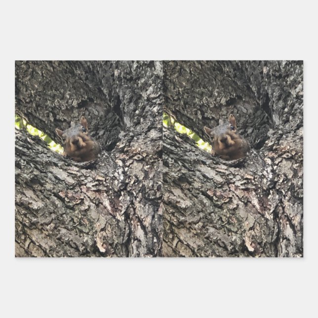 Squirrel Wrapping Paper Flat Sheet Set of 3 (Front)