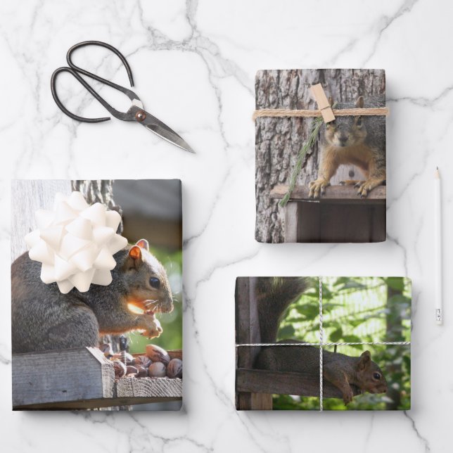 Squirrel Wrapping Paper sheets (Front)
