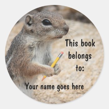 Squirrel Writer Bookplate Sticker by poozybear at Zazzle
