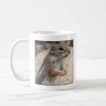 Squirrel Writer Mug by poozybear at Zazzle