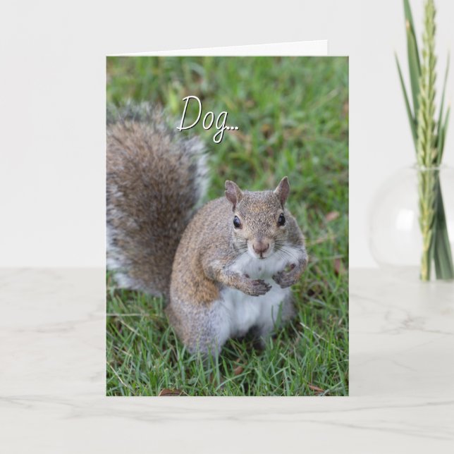 Squirrel You Make Me Laugh Card (Front)