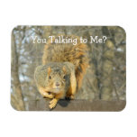 Squirrel (you Talking)  Magnet at Zazzle