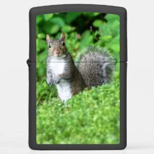 Squirrel Zippo Lighter