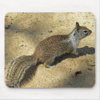 Squirrell Mouse Pad