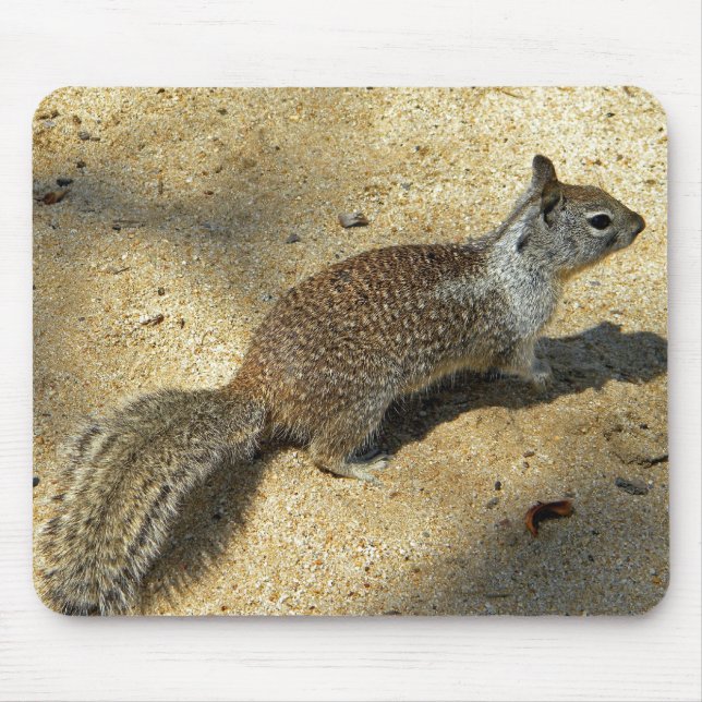 Squirrell Mouse Pad (Front)