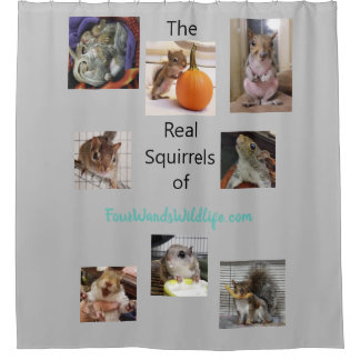 Squirrelly Clean Shower Curtain