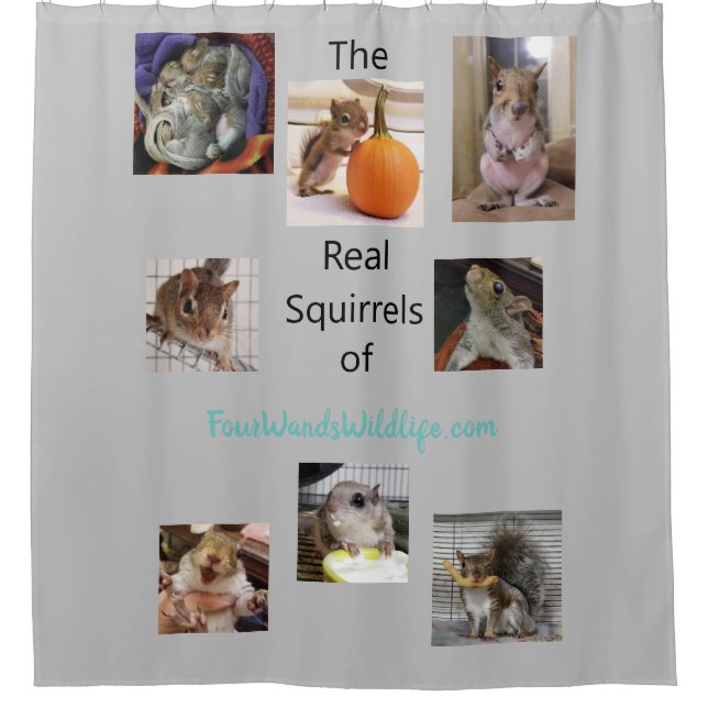 Squirrelly Clean Shower Curtain (Front)
