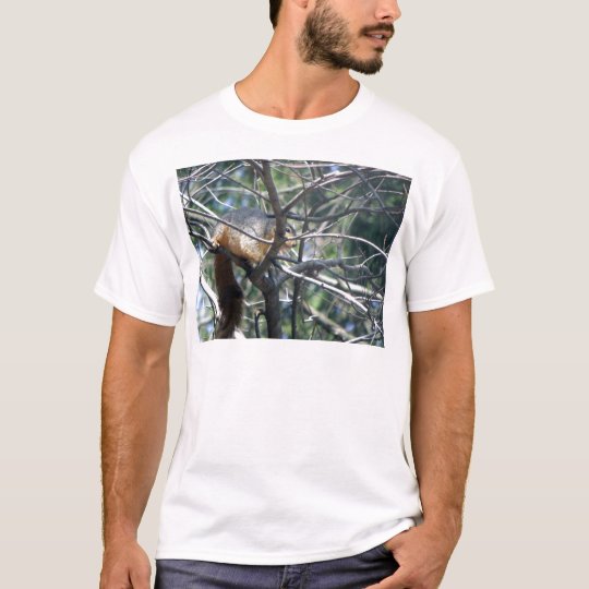 Squirrelly T-Shirt