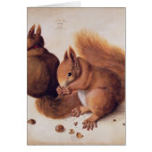 Squirrels, 1512 (Front)