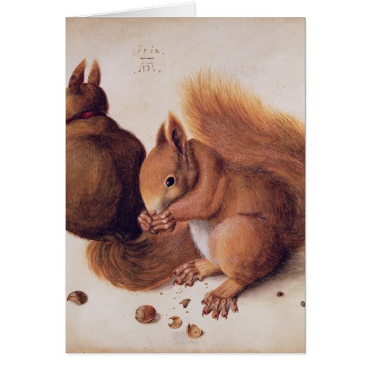 Squirrels, 1512 cards (Front)