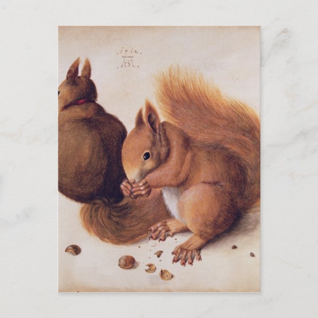 Squirrels, 1512 postcard (Front)