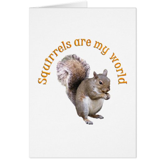Squirrels are my World Cards (Front)
