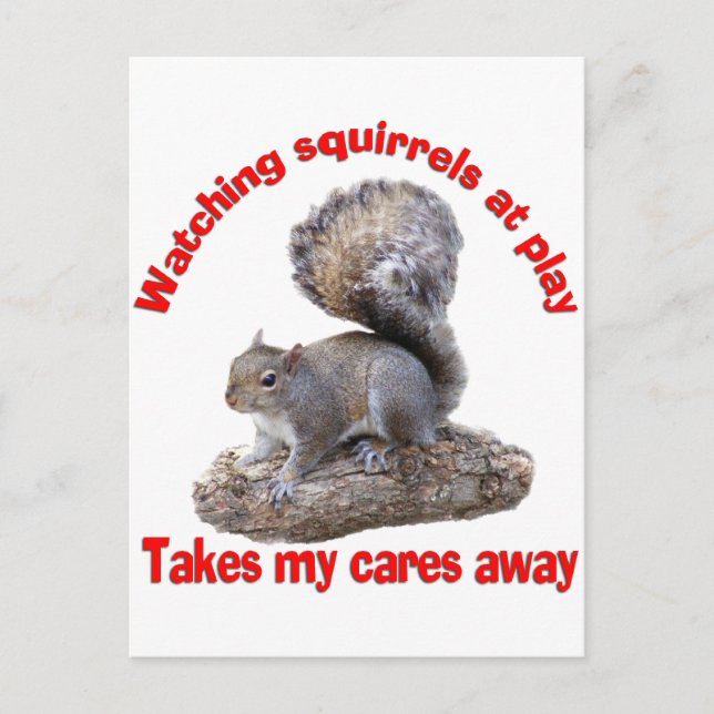 Squirrels at Play Postcard (Front)