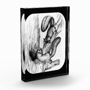 Squirrels Award