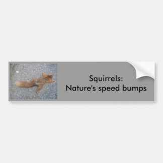 Squirrels Bumper Sticker