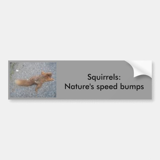 Squirrels Bumper Sticker (Front)