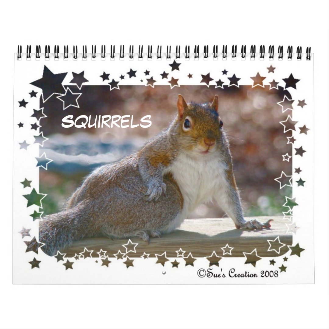 Squirrels Calendar Zazzle