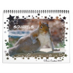 Squirrels Calendar at Zazzle