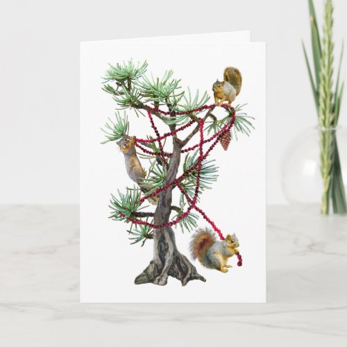 Squirrels Decorating the Christmas Tree Card