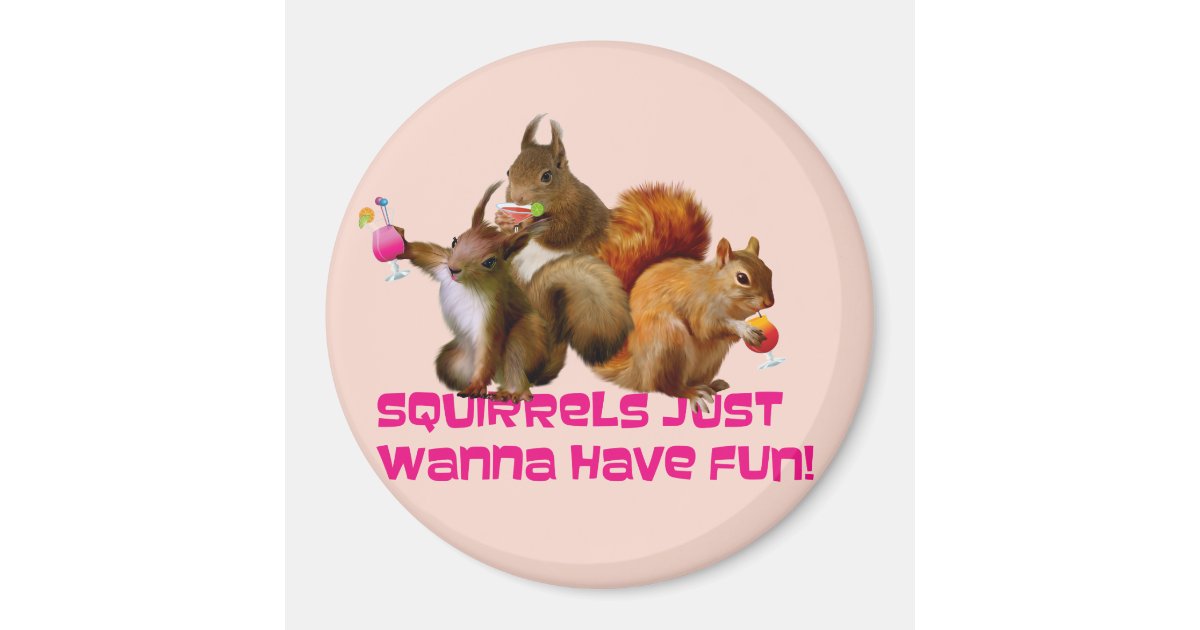 Squirrels Just Wanna Have Fun Zazzle