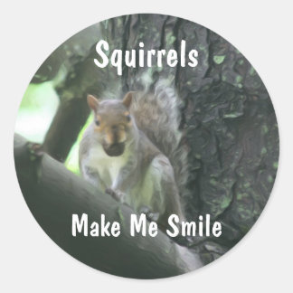 Squirrels Make Me Smile Animal  Classic Round Sticker