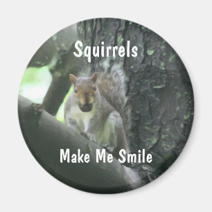 Squirrels Make Me Smile Animal Magnet