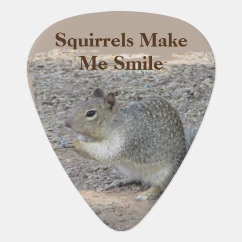 Squirrels Make Me Smile Gray Forest Animal Guitar Pick