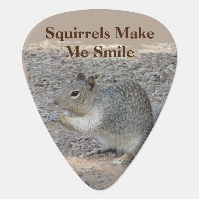 Squirrels Make Me Smile Gray Forest Animal Guitar Pick (Front)